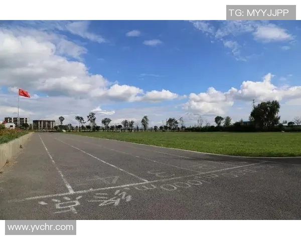 重庆排球队的崛起之路总决赛特别报道展现成长与奋斗的精彩篇章 重庆排球队的崛起之路总决赛特别报道展现成长与奋斗的精彩篇章